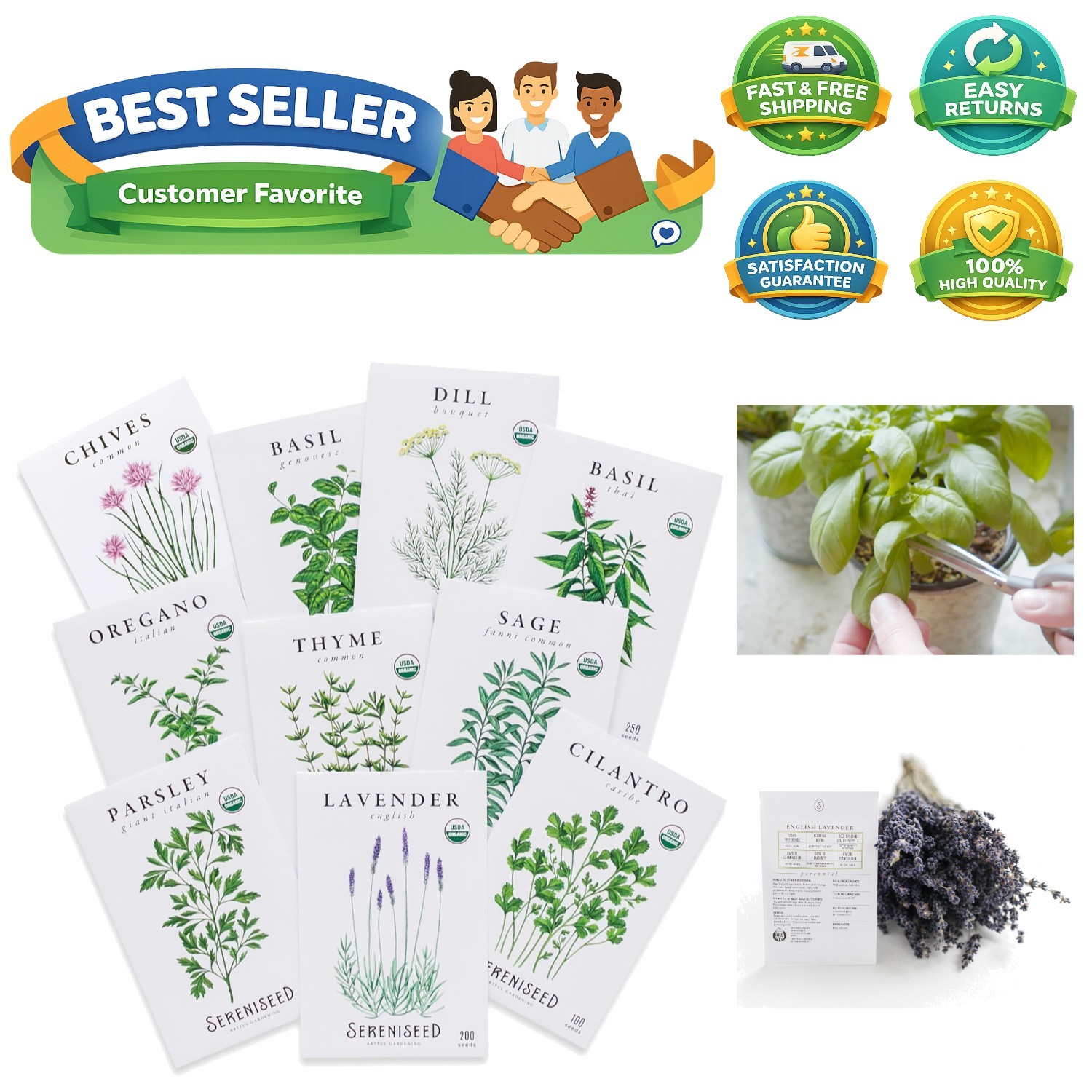 Certified Organic Herb Seeds 10-Pack – Non GMO, Heirloom – Seed Starting Vide…