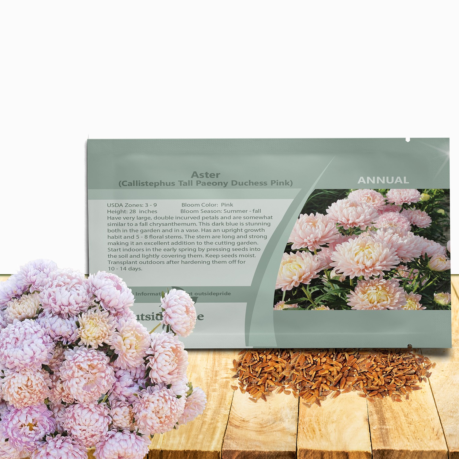 2000 Seeds Aster Seeds – Aster Callistephus Pink Tall Double Flower Seed