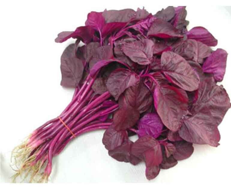 Non-GMO Asian Vegetable Red Amaranth Seeds（全红苋菜）300+Seeds 2023NEW!
