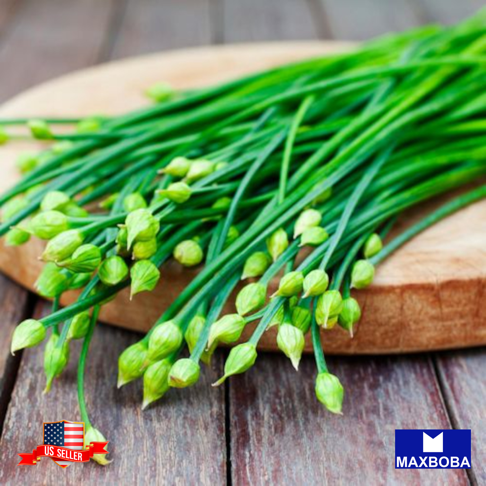 Chives Seeds Garlic (Organic) Non-GMO Heirloom