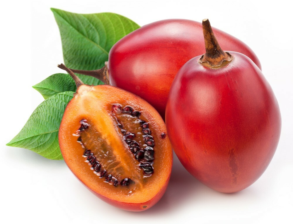 10+ Red Tamarillo Seeds ~Solanum becateum~ Cyphomandra becatea ~ Tree Tomato