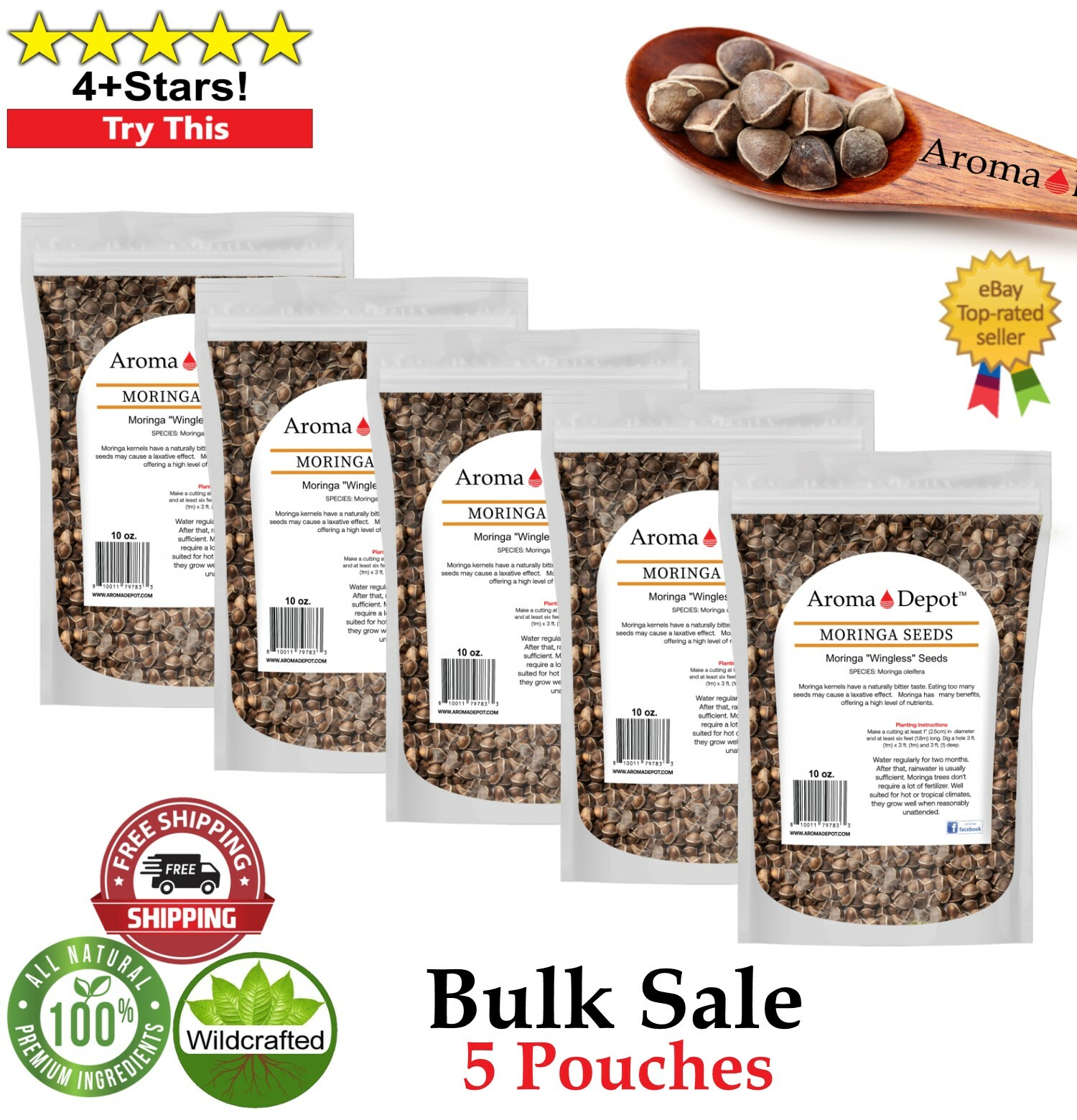 10 oz. Moringa Seeds 5000 Fresh Semilla de Moringa oleifera 5 Pouches Malunggay
