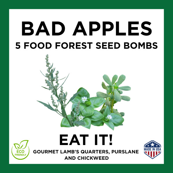 Bad Apples EAT IT!™ Food Forest Bombs – The Seed Bomb That Blasts Grocery Bills!