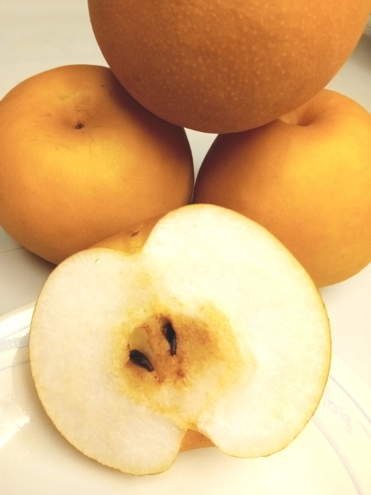 Large Korean Butterscotch Pear Pyrus Pyrifolia 韩国大梨种子 10 Seeds – Fruit Tree USA