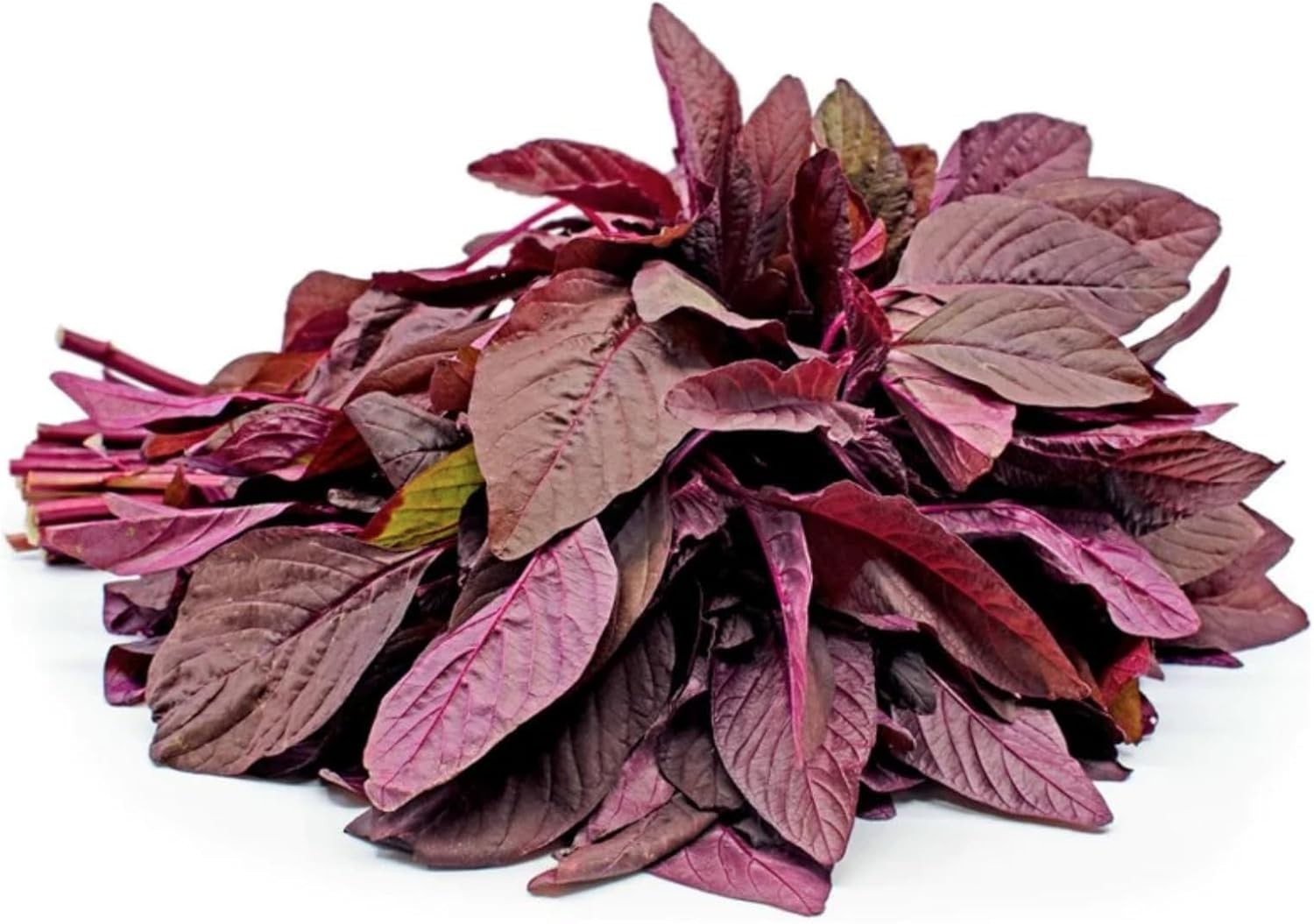 Fast-Growing Leaf Amaranth Seeds – Colorful Pet-Friendly Greens for Containers