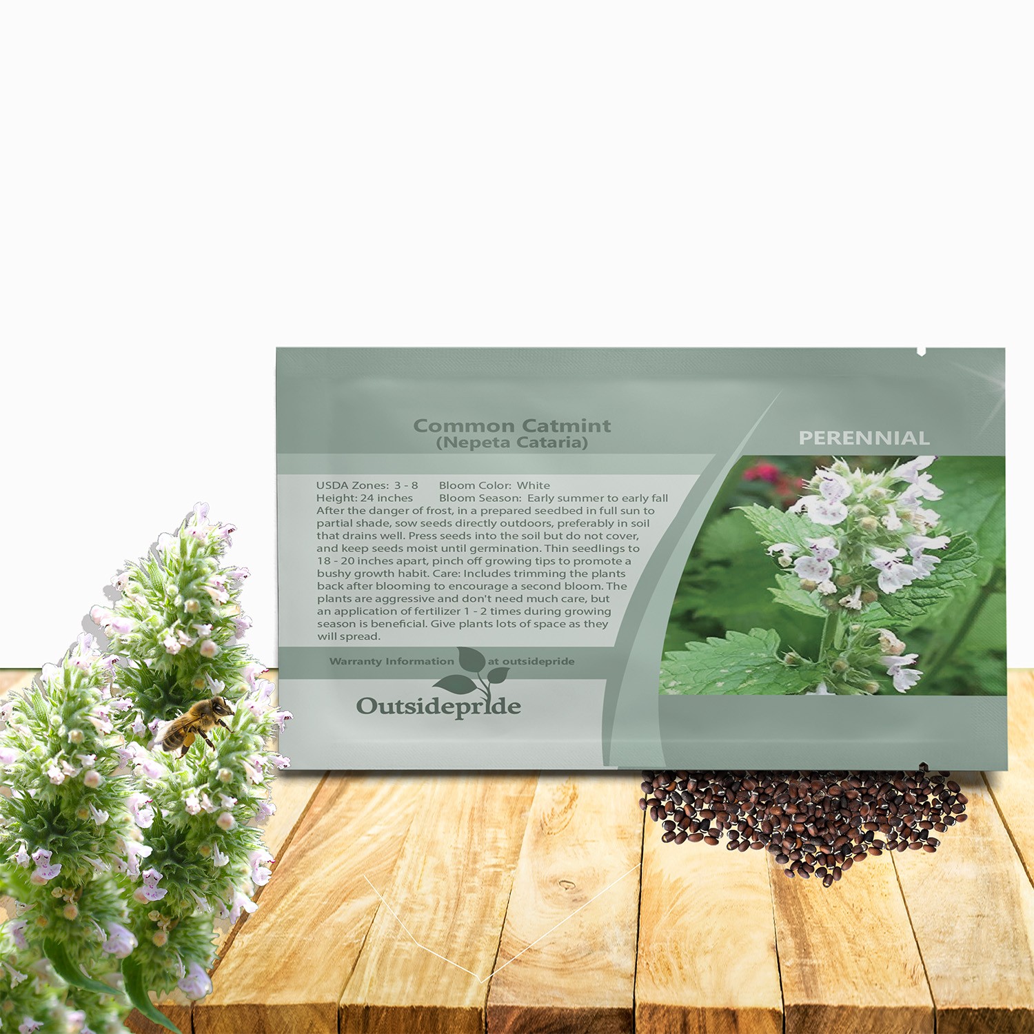 5000 Seeds Common Catmint Nepeta Cataria White Flowering Drought Resistant Herb