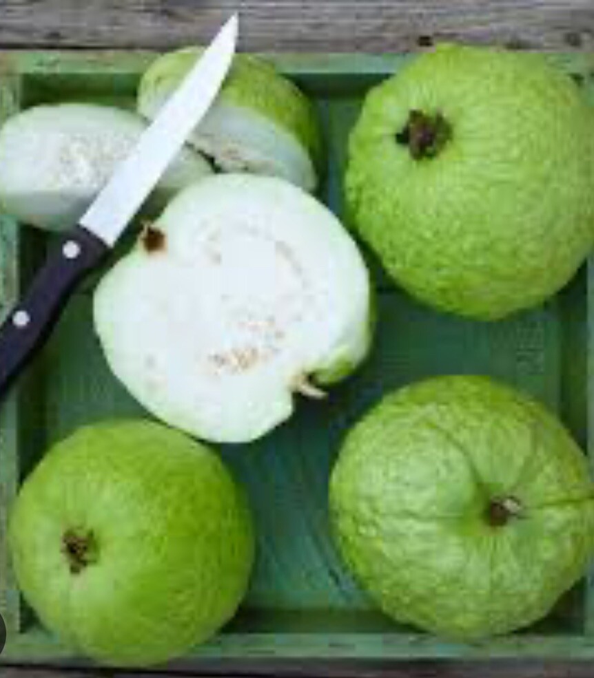 Thai White Guava 200 Seeds