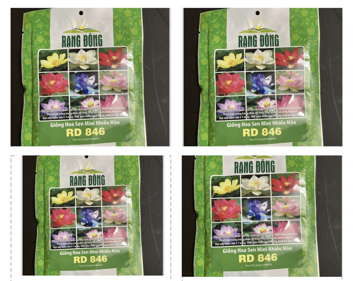4bag 5 Seeds Muti Colors Lotus Flower Nelumbo Nucifera Hoa Sen Mini Sealed Pack