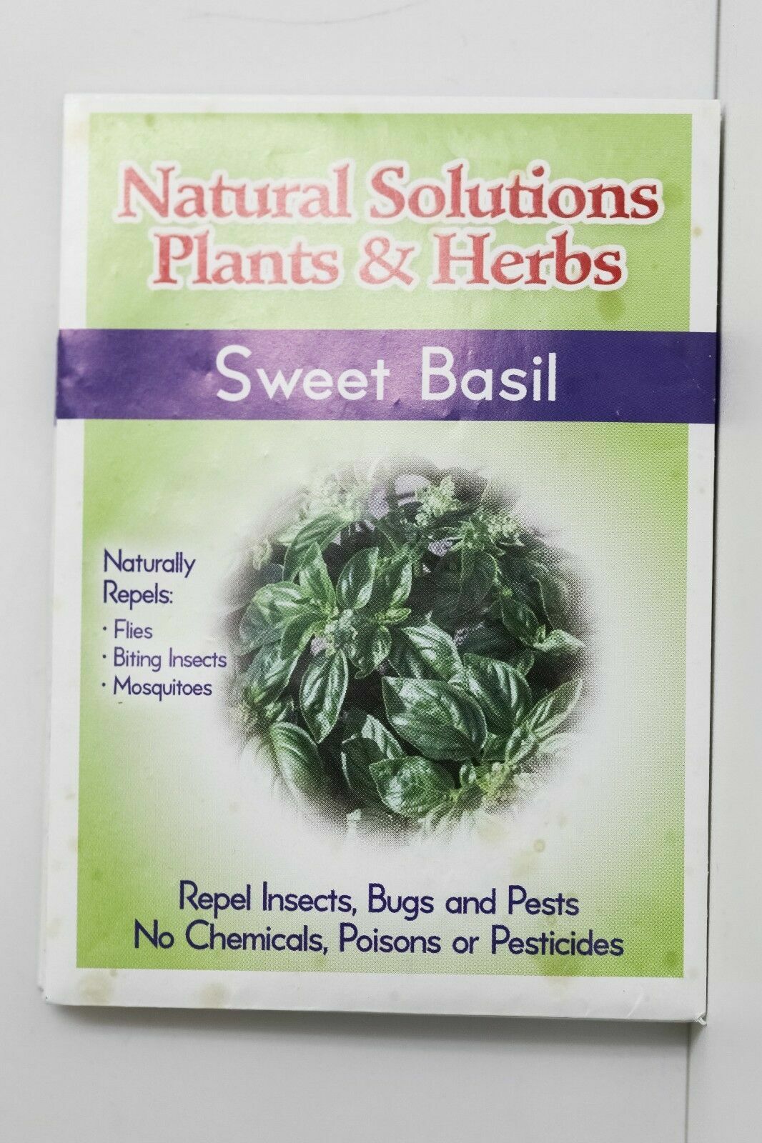 Natural Solutions Plants & Herbs Variety 10 pack of Seeds Holistic Remedies Pest