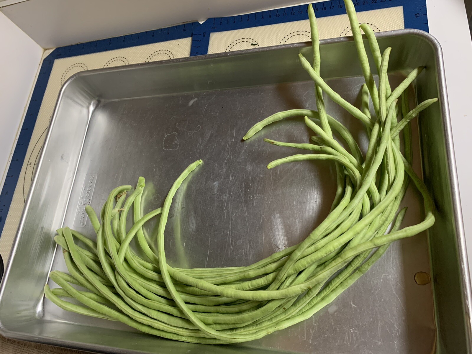 25 Long Bean Seeds  organic 2024 Summer Fresh Non-GMO