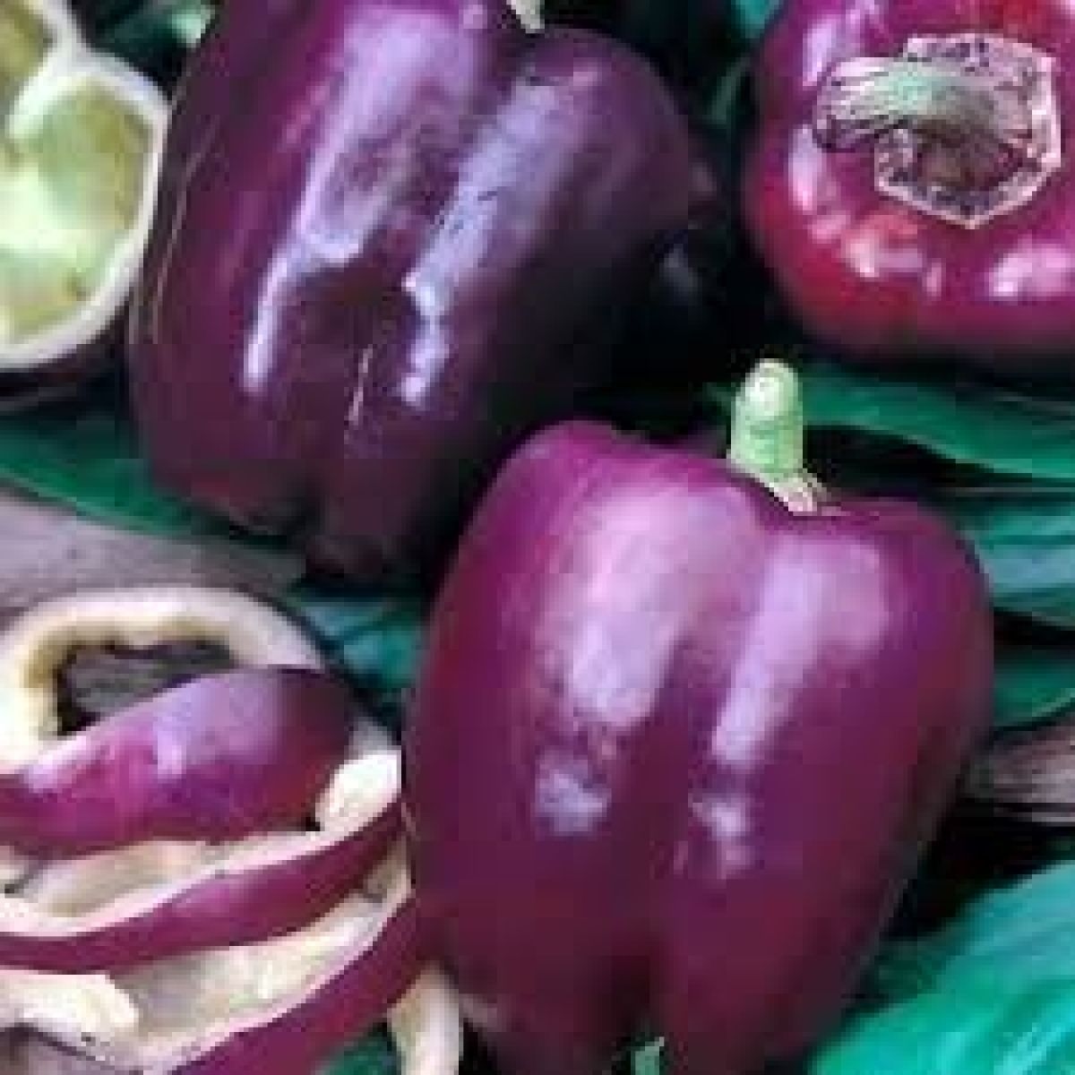 Purple Beauty Bell Pepper Seeds, Sweet, NON-GMO, Heirloom, Variety Sizes