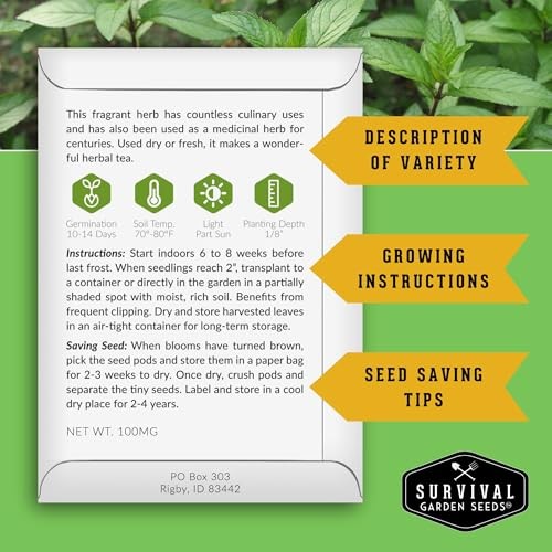 – Peppermint Seed for Planting – Mentha Piperita Packet with Instructions to 1