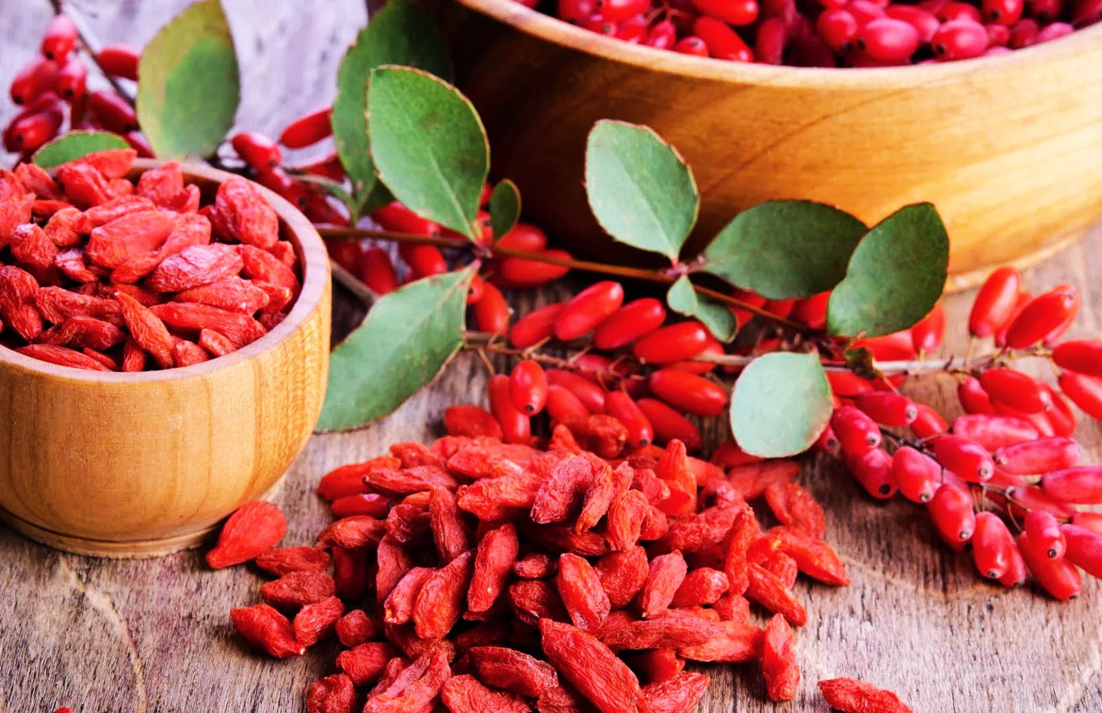 Goji Berry Tree Seeds | Lycium Wolfberry Chinese Fruit Seeds 2024 Free Shipping