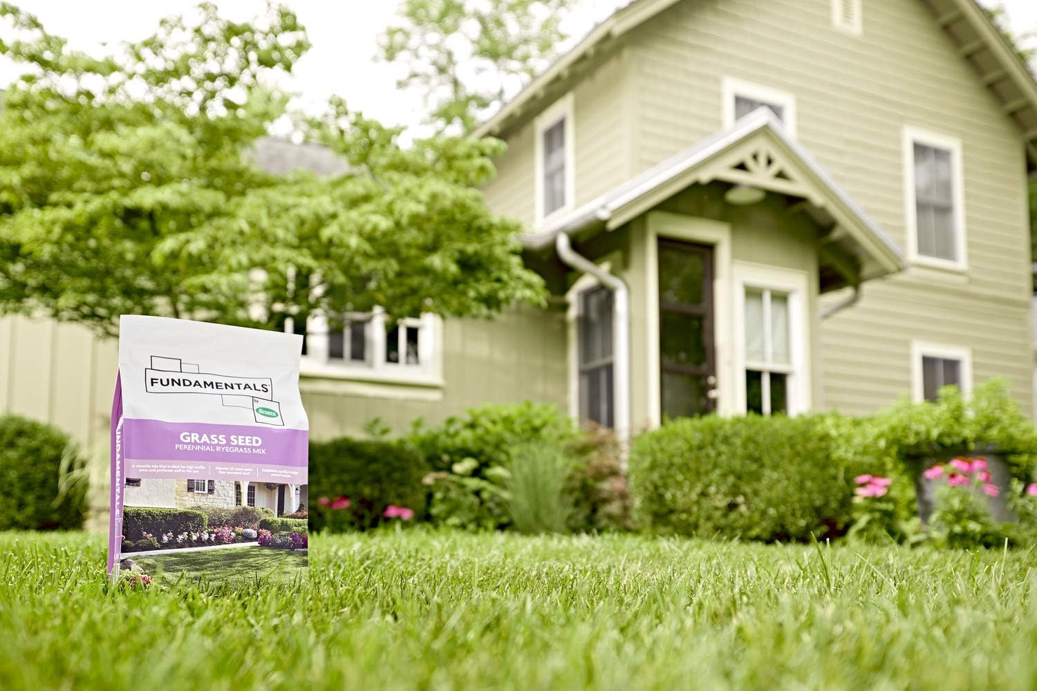 Fundamentals by Grass Seed Perennial Ryegrass Mix, Ideal for Sunny, High Traffi