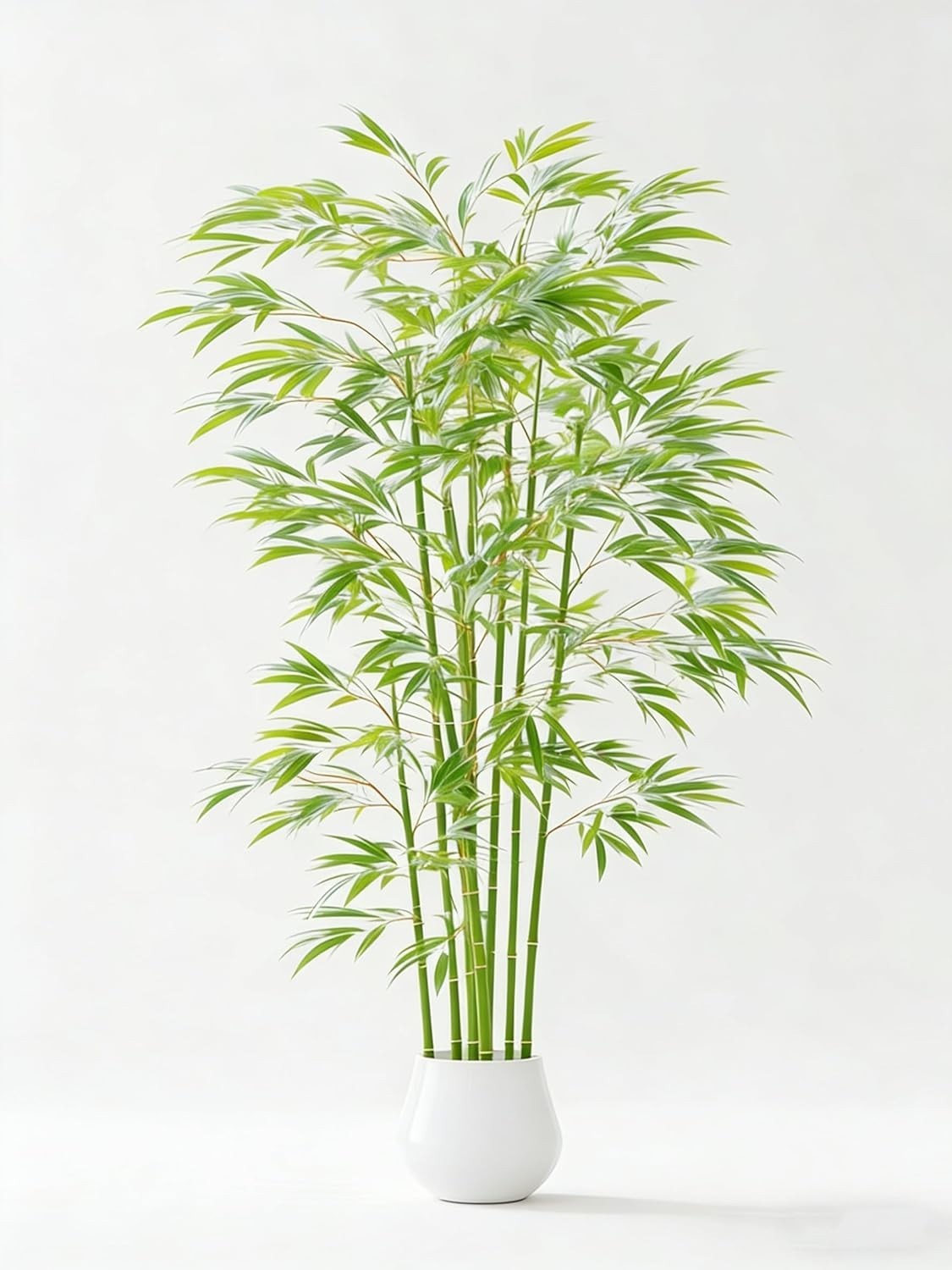 Low Maintenance Dwarf Bamboo Seeds – 490+ Heirloom Packs for Indoor & Outdoor