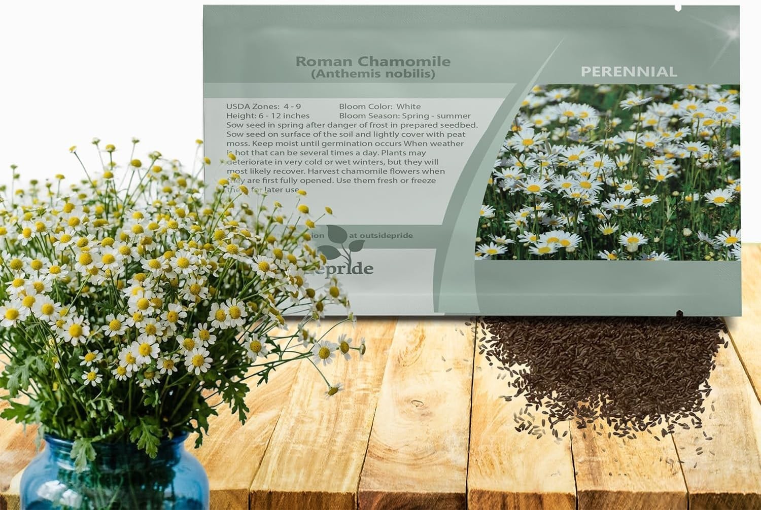 25000 Count Roman Chamomile Seeds – Perennial Herb for Beautiful Outdoor Spaces
