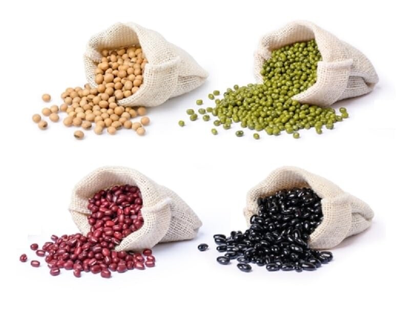 Bean Bundle 100 Seeds Each – Soybeans, Mung Beans, Adzuki Beans, Black Soybean