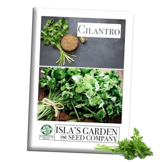 Cilantro Seeds (Coriandrum sativum) – 500+ Heirloom Non-GMO Seeds by Isla’s