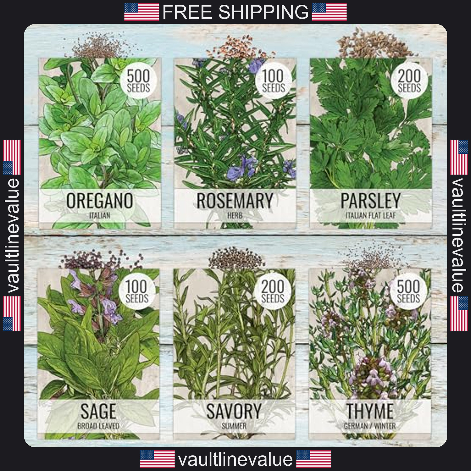 Seed Needs herb seeds variety pack 12 packets culinary herb garden indoor