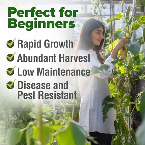 Clemson Spineless Seeds 101+ Heirloom Non-GMO Vegetable Seeds for Okra