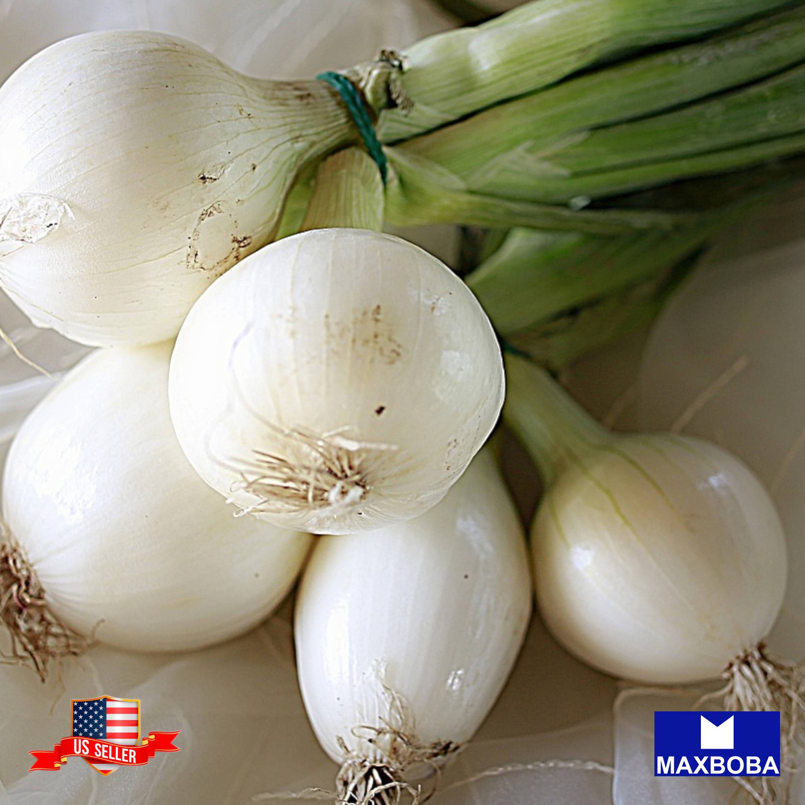 900+ Onion Seeds Long White Sweet Spanish Non-GMO Heirloom BOGO 50% OFF