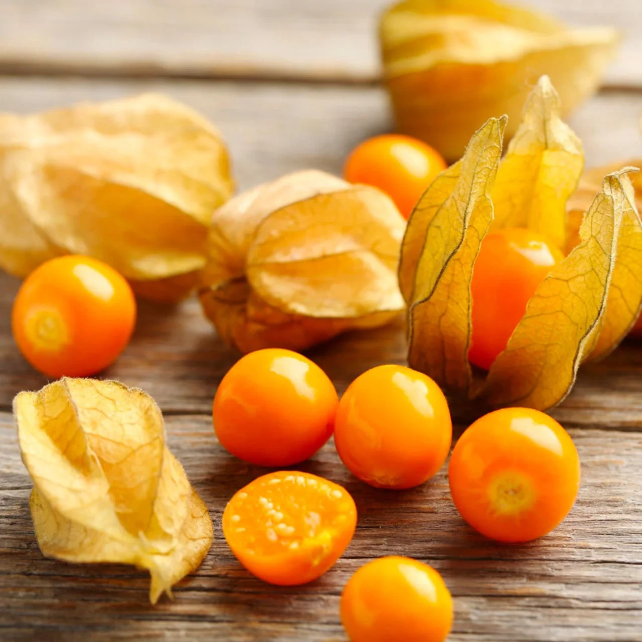 Ground Cherry Tomatillo Seeds 50 Ct Physalis Pruinosa Vegetable HEIRLOOM NON-GMO