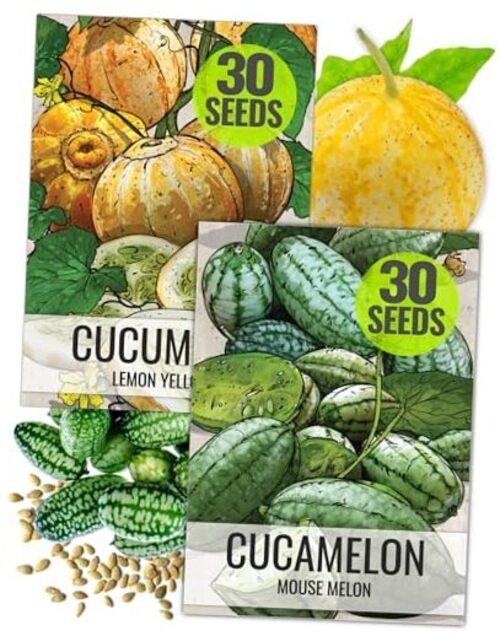 Cucamelon Seeds/Lemon Cucumber Seeds for Planting – Non Cucamelon + Lemon Cuke