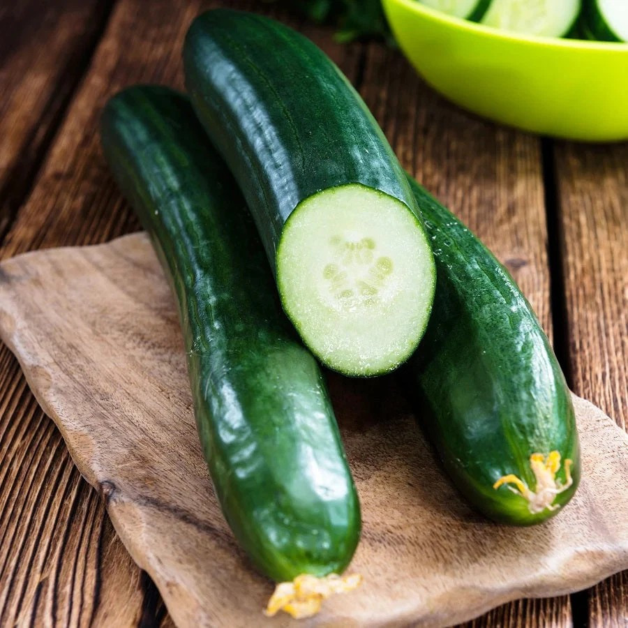 50+ Tendergreen Burpless Cucumber Seeds — English Cucumber ——– FRESH
