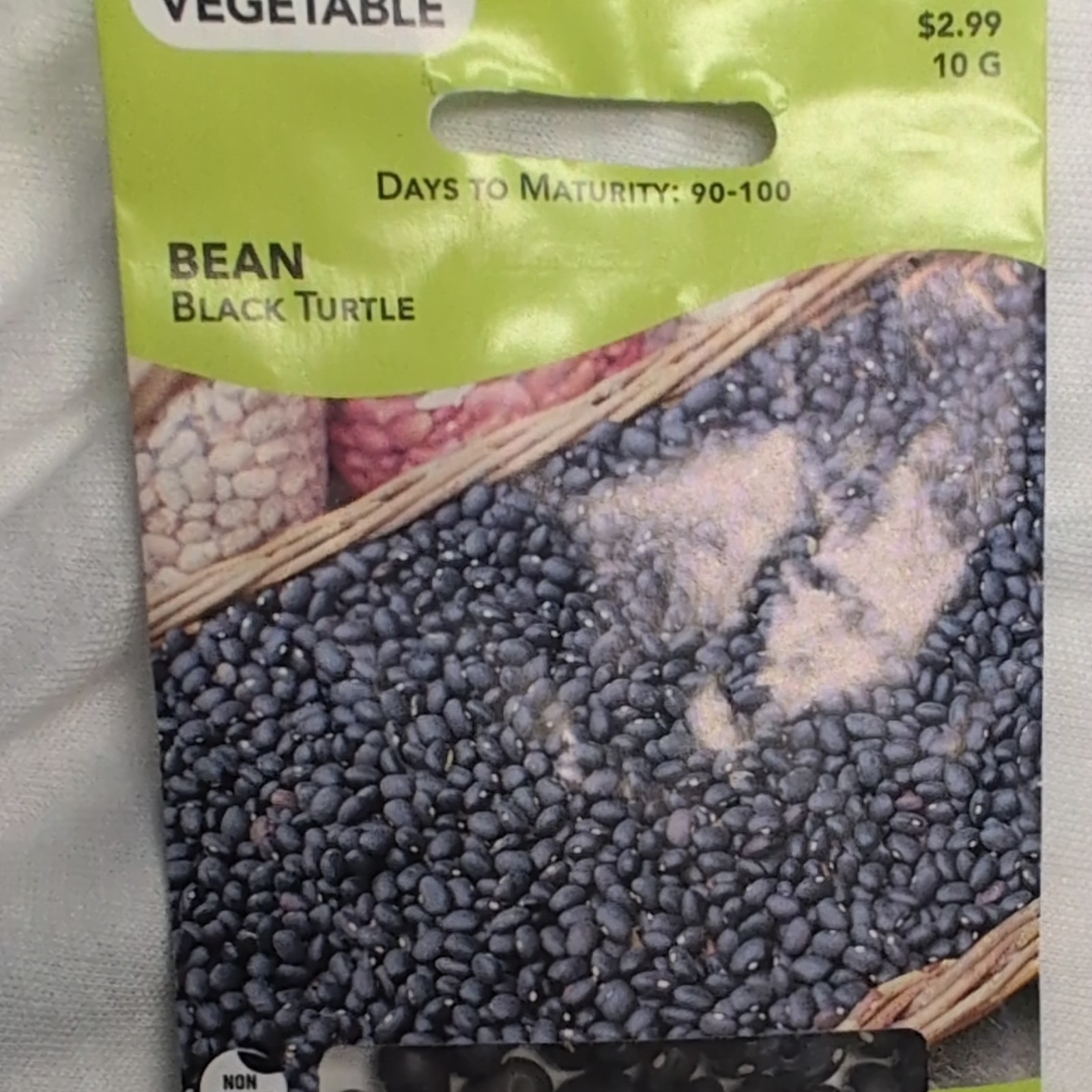 Livingston Bean Black Turtle Vegetable Seeds Black Full Sun 90-100 Days Y4008