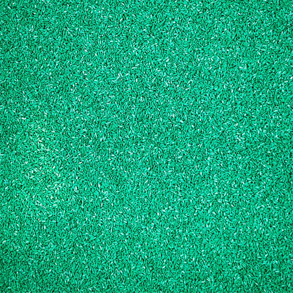 PENNINGTON BERMUDA GRASS SEED for Full Sun
