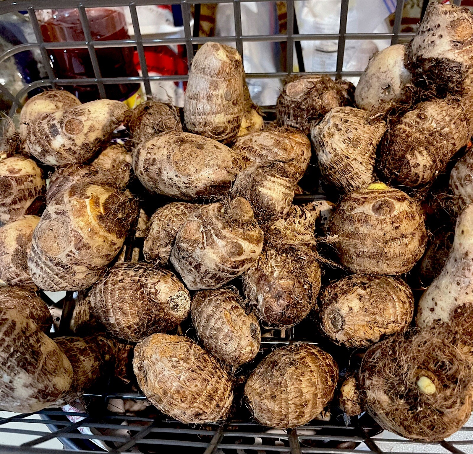 Malanga Coco Yam 1 Lb tubers~2-4” Inches~ For Consumption Or Planting