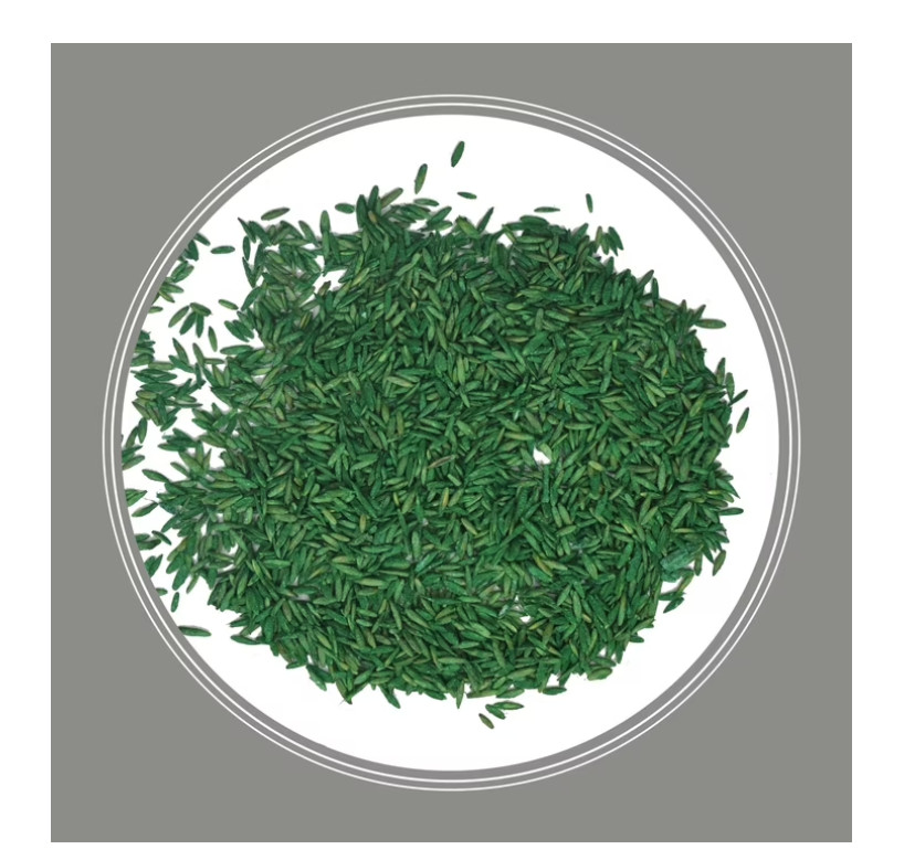 Pennington Contractors Central Grass Seed Mix, for Sun to Partial Shade, 7 lb.