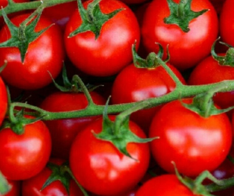 LARGE RED CHERRY TOMATO SEEDS 100+ indeterminate GARDEN vegetables FREE SHIPPING