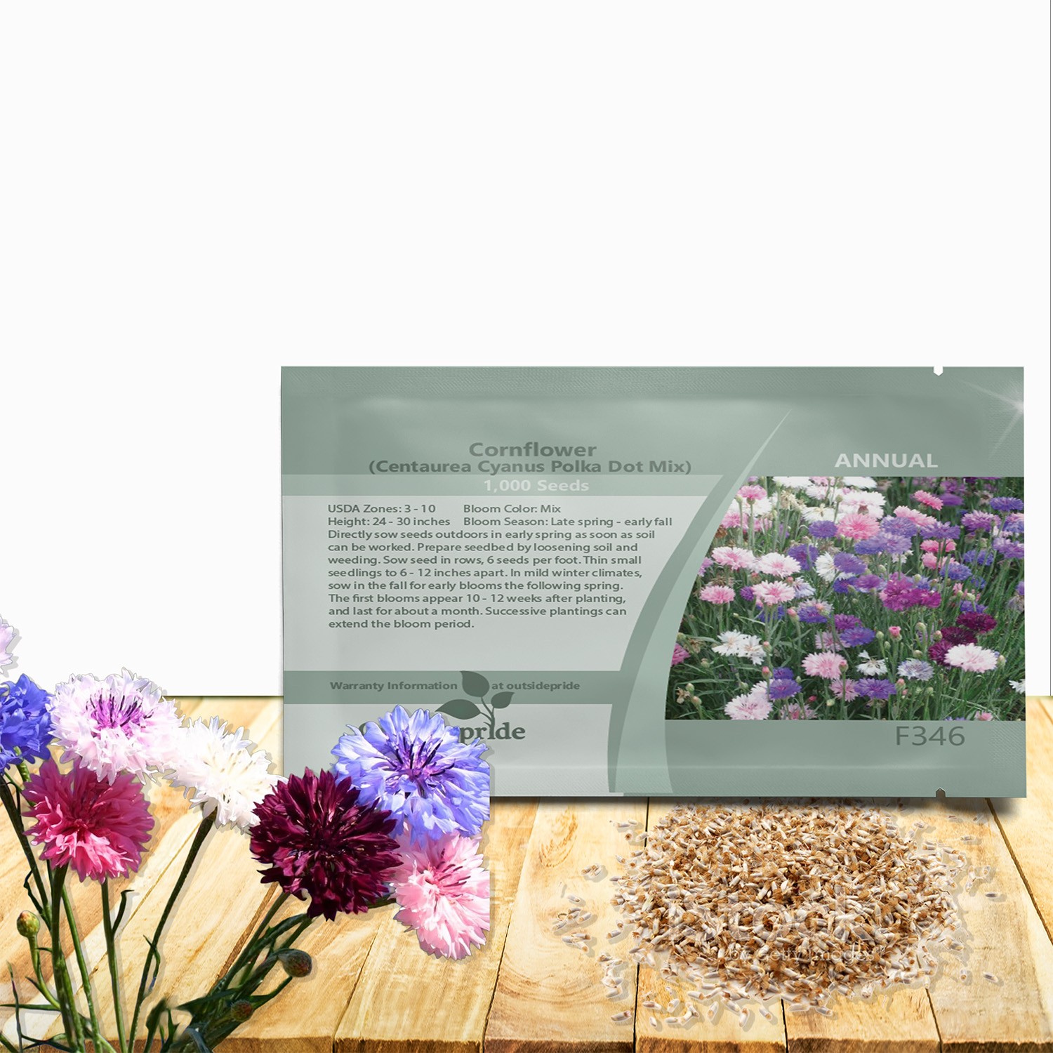 1000 Seeds Centaurea Cornflower Cornflower Polka Dot Drought Tolerant