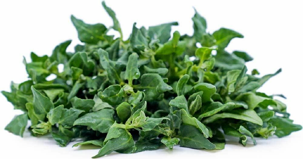 Spinach Seeds, New Zealand Spinach Seeds,”COOL BEANS N SPROUTS” Brand. Heirloom