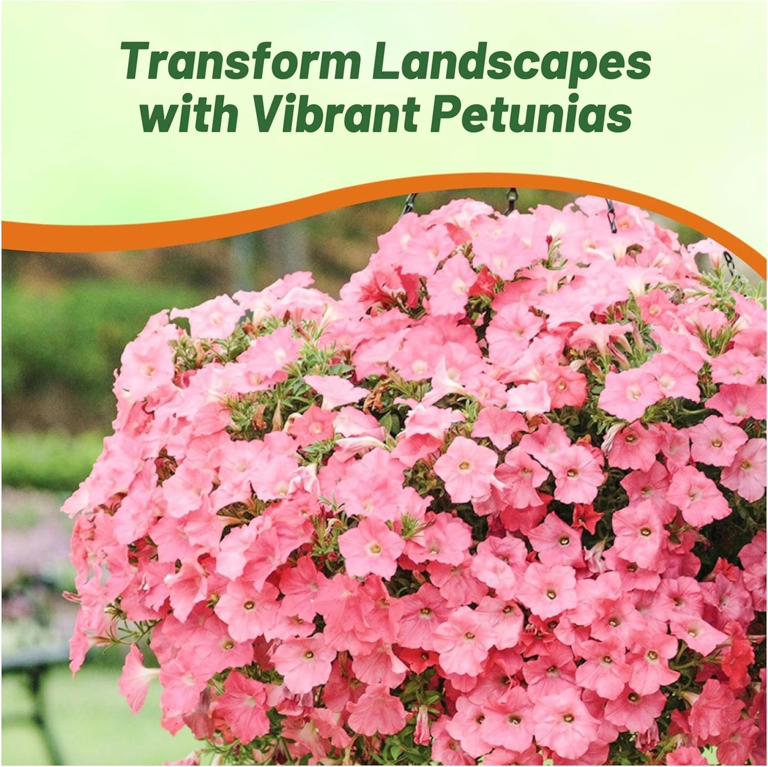 30 Seeds Easy Wave Spreading Petunia Coral Reef Flower Seeds