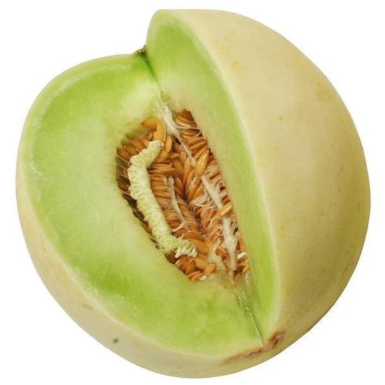 100+ Green Flesh Honeydew Seeds – Winter Melon — Heirloom — Organic – NON GMO