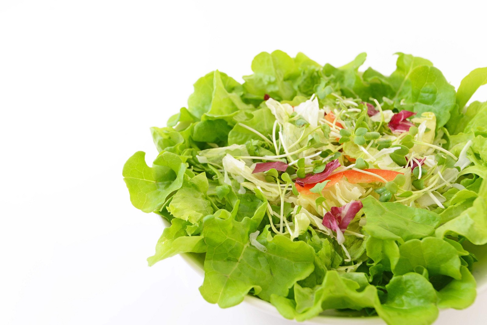 3000 BUTTERCRUNCH LEAF LETTUCE Lactuca Sativa Vegetable Seeds