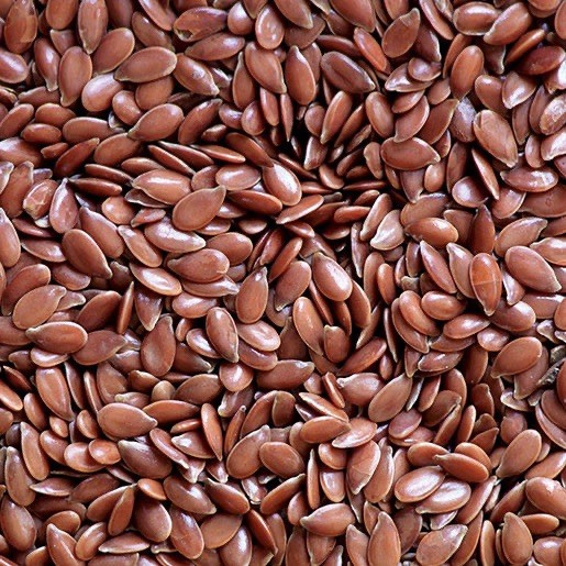 Common Flax seeds (Linum usitatissimum) – 200 Seeds | Attracts Pollinators , USA