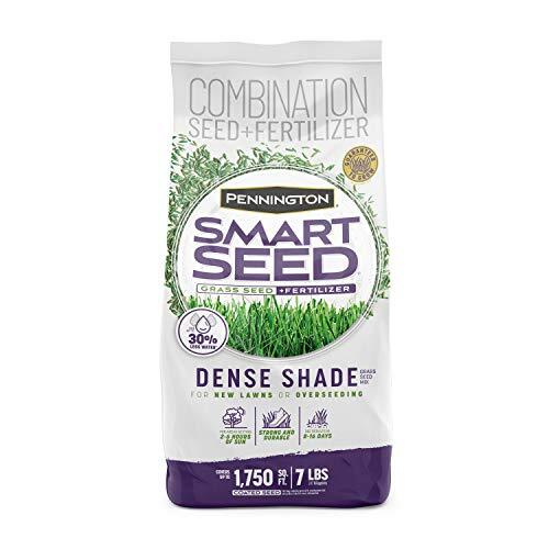 7 lb Pennington Smart Seed Dense Shade Grass Seed for Low Sunlight Areas