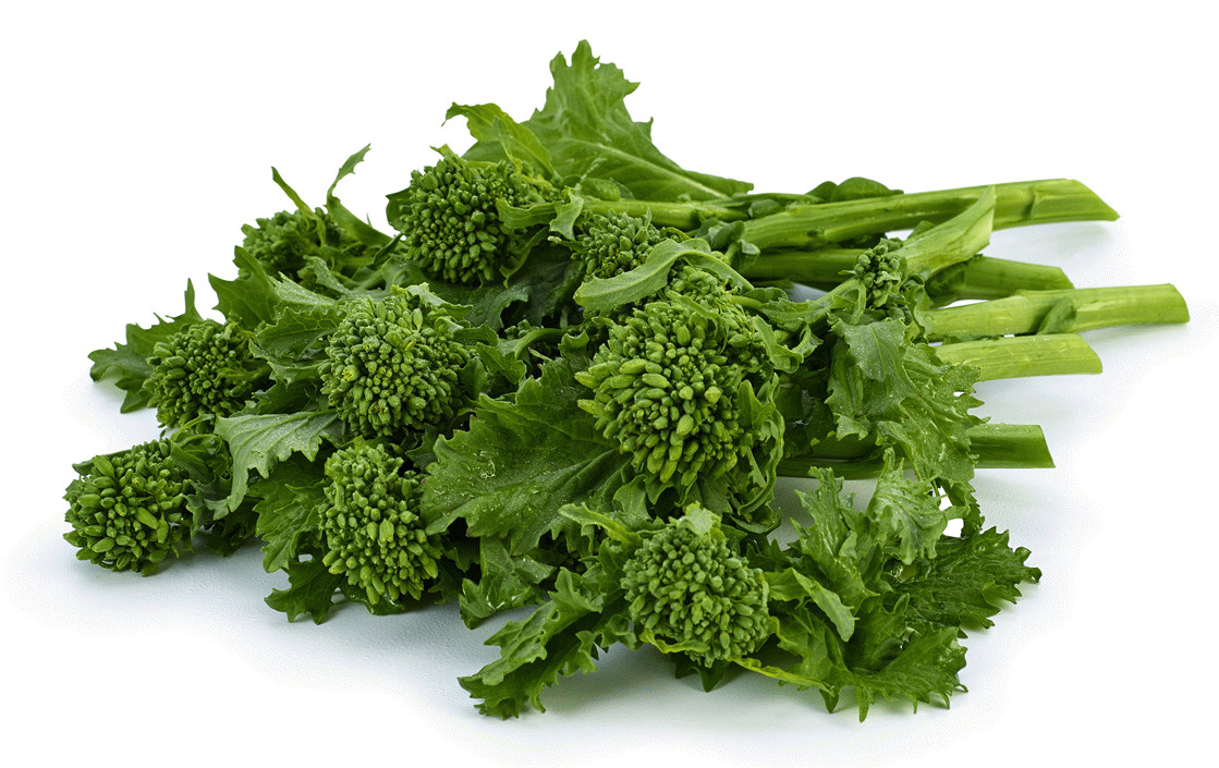 1000+ Organic Broccoli Raab Rapini Seeds Microgreens Sprouting Garden for 2024