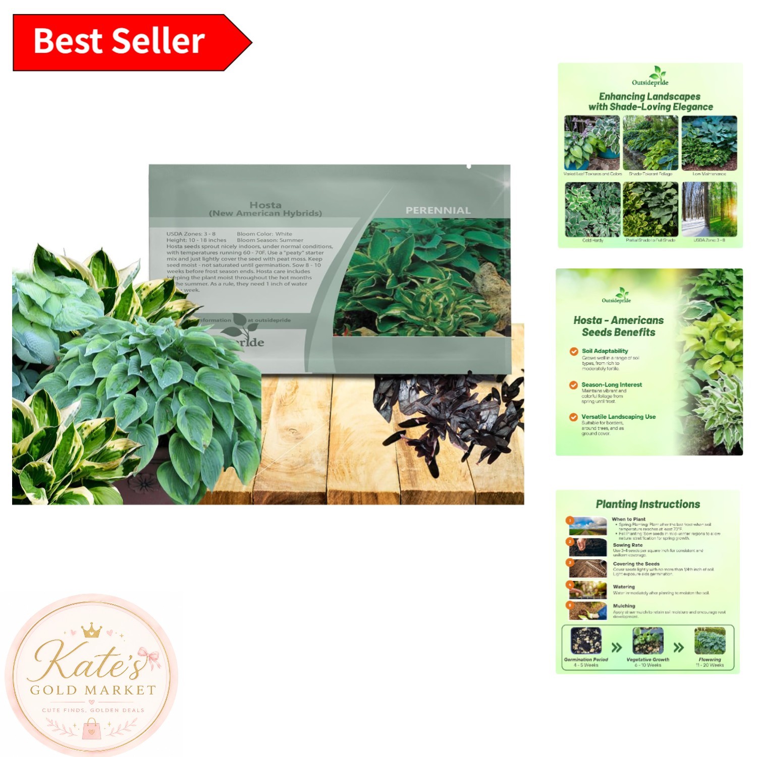 Low Maintenance Hosta Seeds – 50 Pcs for Vibrant Shade Displays and Containers