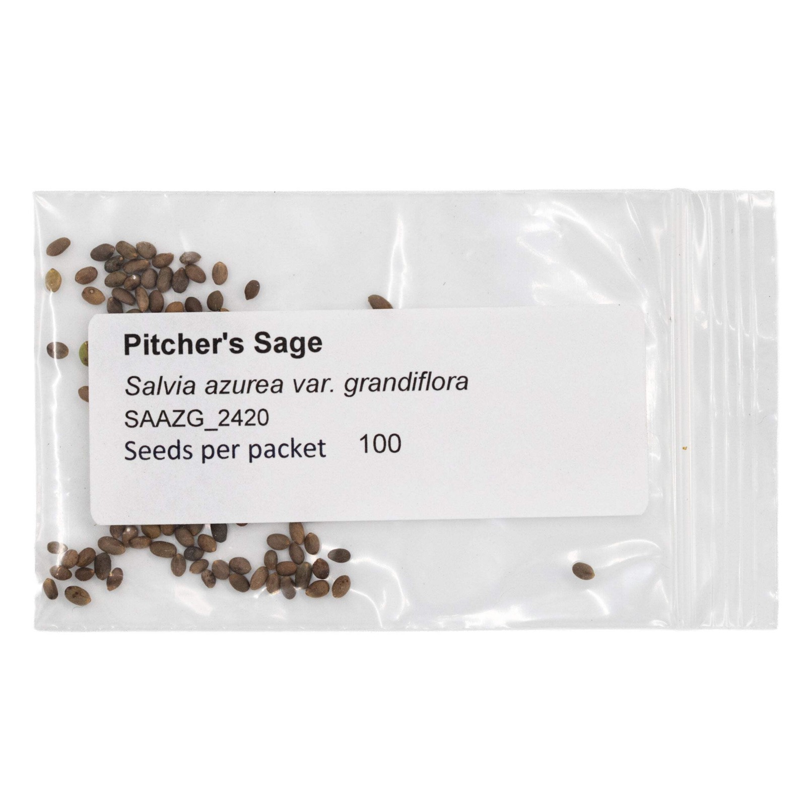 Mini Native Tall Hummingbird Seed Mix | Prairie Legacy Inc.