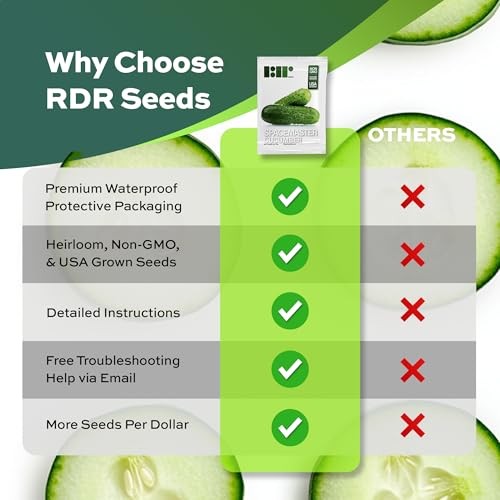 Spacemaster Cucumber Seeds – Heirloom Non-GMO USA Grown – Compact Bush Variety