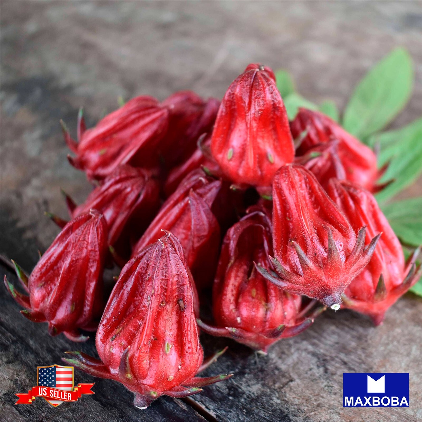 Roselle Seeds – Asian Sour Leaf (Hibiscus) Non-GMO / Heirloom / Vegetable Garden