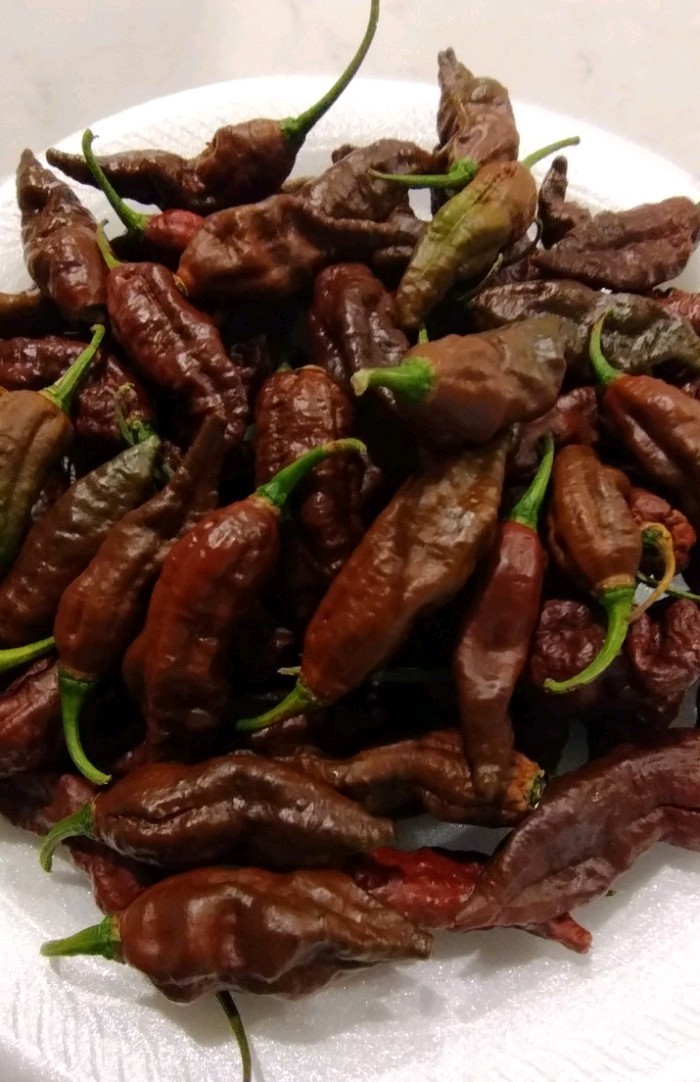 Chocolate Ghostly Jalapeno (20 Seeds) Super Hot, Free Shipping