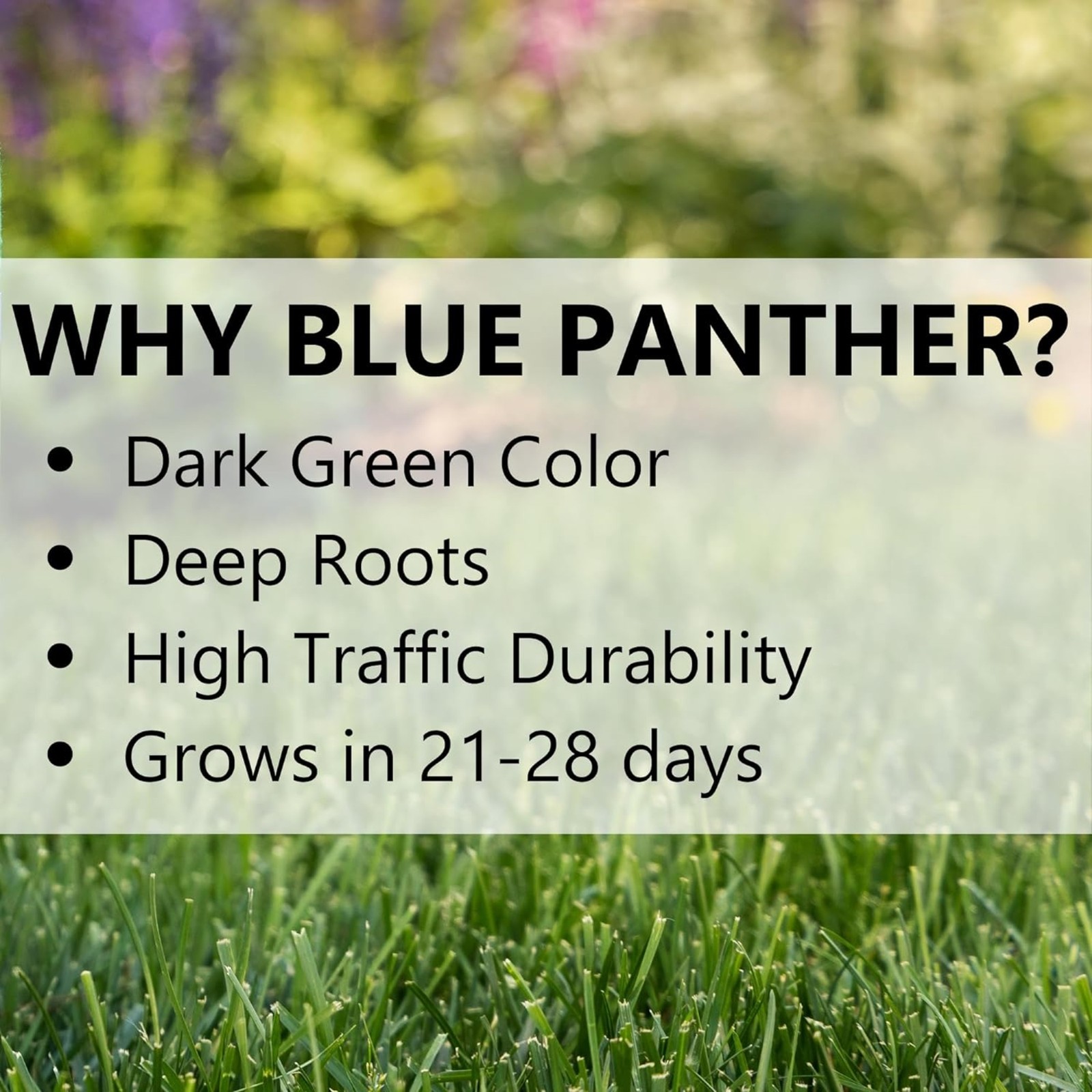 Jonathan Green Blue Panther Kentucky Blue Grass Blend Seed Mix, 3lb bag, 4 Pack