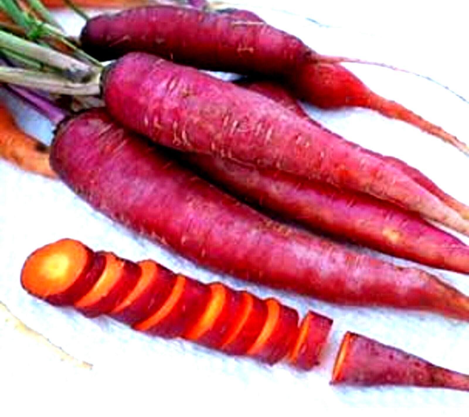 Purple Dragon Carrot Seeds Non-GMO 200+ Seeds NON-GMO BUY 4 GET FREE SHIPPING