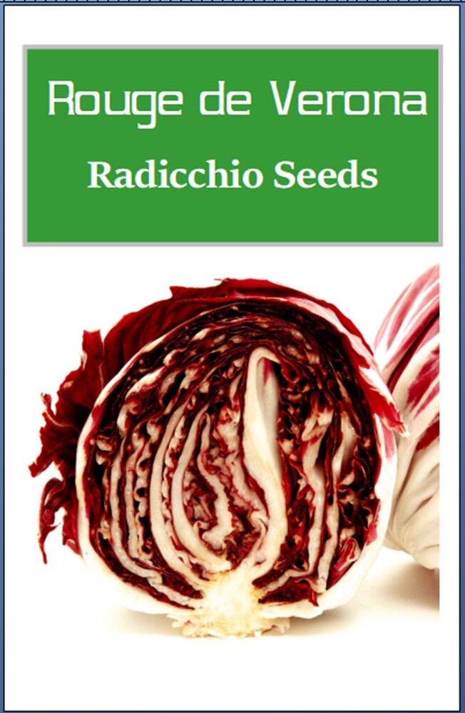 Radicchio Seeds | Rouge de Verona | Heirloom | Fresh Garden Seeds