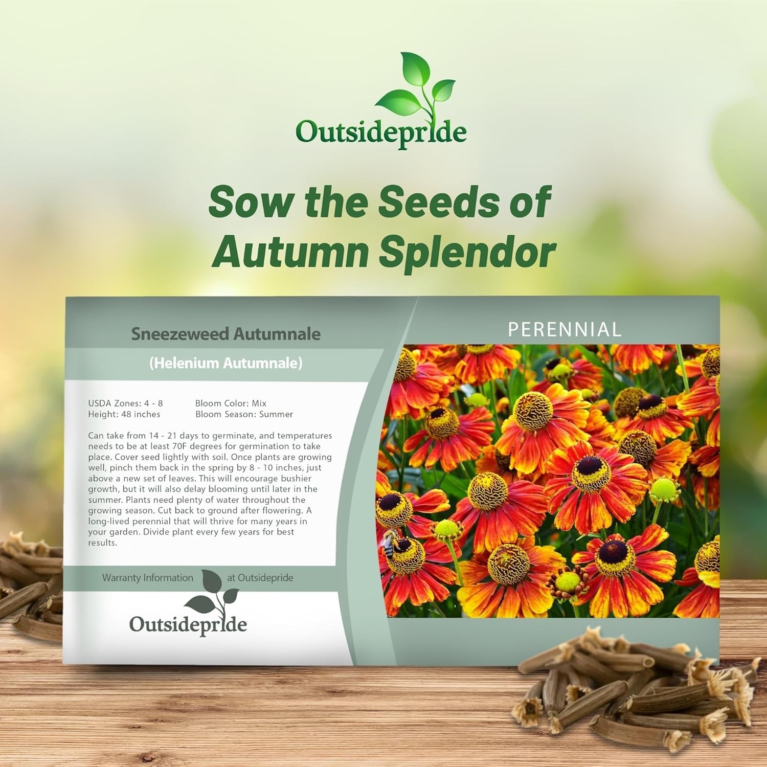 4000 Seeds Helenium Seeds – Sneezeweed Helenium Autumnale Flower Seed